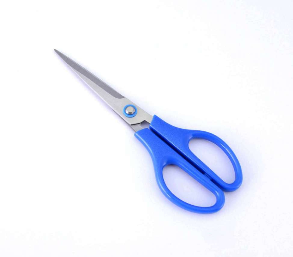 Stainless Steel Stationery Scissors, Paper Stationery Scissors, Safety Kid Scissors